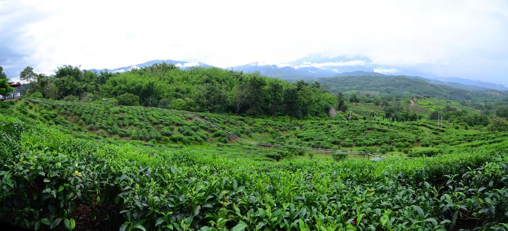 Sabah Tea Resort Ranau Esterno foto