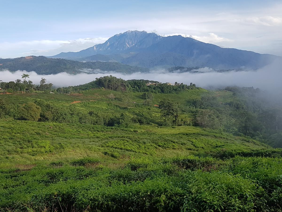 Sabah Tea Resort Ranau Esterno foto