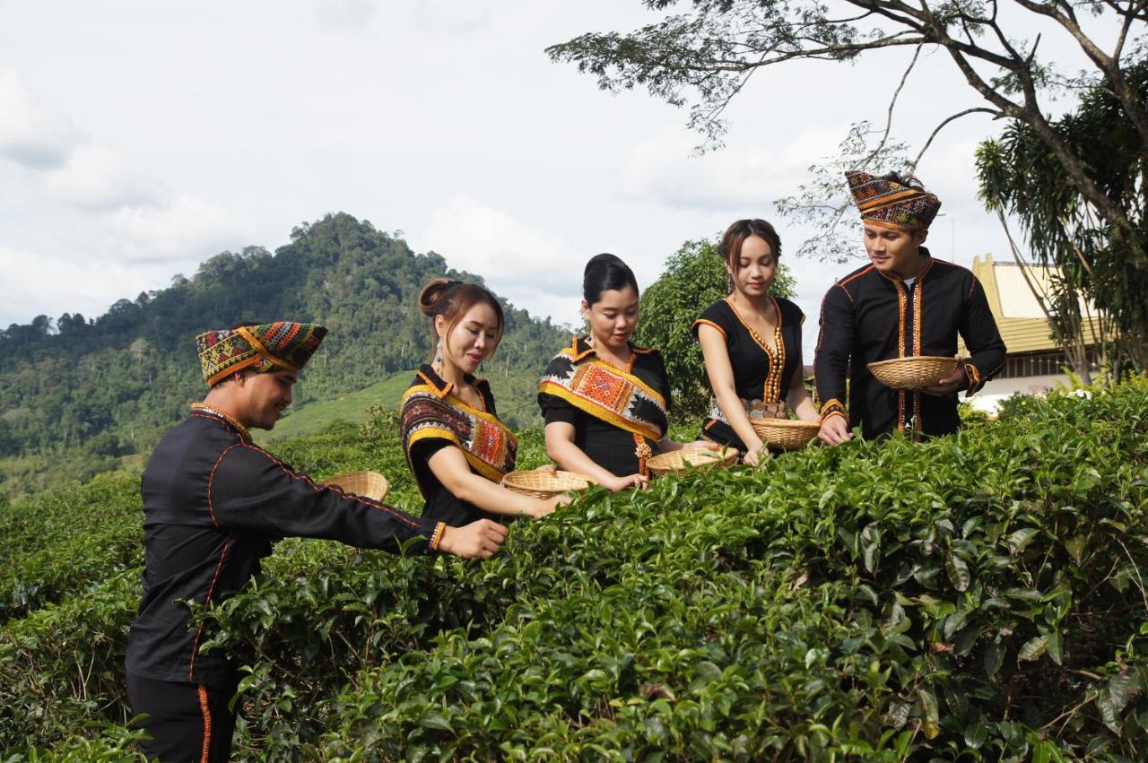 Sabah Tea Resort Ranau Esterno foto