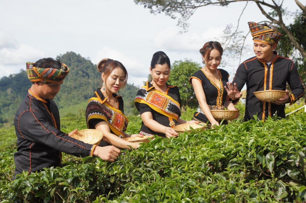 Sabah Tea Resort Ranau Esterno foto